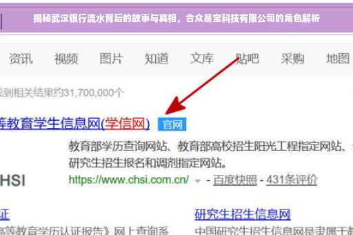 揭秘武汉银行流水背后的故事与真相，合众易宝科技有限公司的角色解析