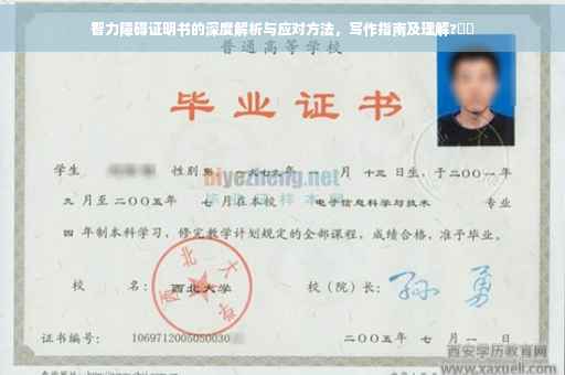 智力障碍证明书的深度解析与应对方法，写作指南及理解?⚡️