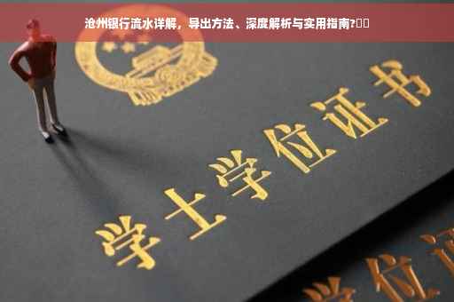 沧州银行流水详解，导出方法、深度解析与实用指南?⚡️
