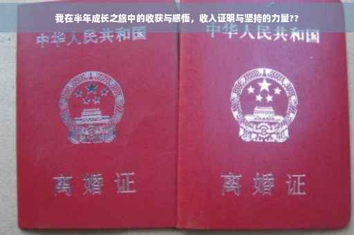 我在半年成长之旅中的收获与感悟，收入证明与坚持的力量??