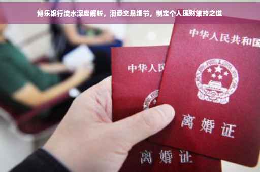博乐银行流水深度解析，洞悉交易细节，制定个人理财策略之道