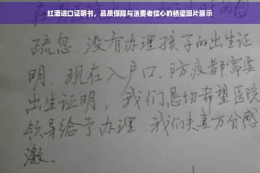 红酒进口证明书，品质保障与消费者信心的桥梁图片展示
