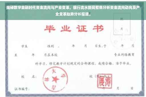 揭秘数字金融时代资金流向与产业变革，银行流水新闻聚焦分析资金流向动向及产业变革趋势分析报道。