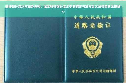 揭秘银行流水与债务真相，深度解析银行流水中的借方与贷方含义及债务关系揭秘??