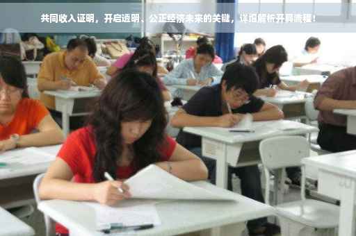 共同收入证明，开启透明、公正经济未来的关键，详细解析开具流程！