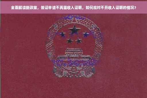 全面解读新政策，签证申请不再需收入证明，如何应对不开收入证明的情况？