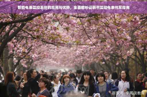 智能电表监控系统的应用与优势，全面解析证明书监控电表书写指南
