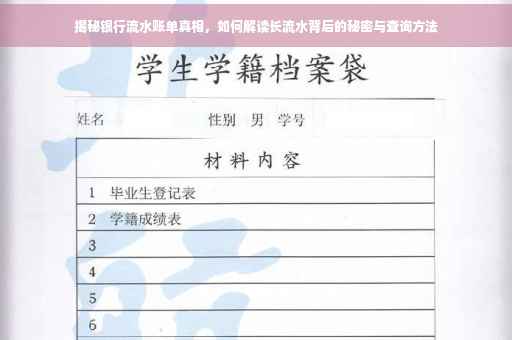 揭秘银行流水账单真相，如何解读长流水背后的秘密与查询方法