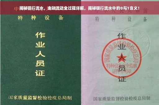 揭秘银行流水，金融流动全过程详解，揭秘银行流水中的0与1含义！
