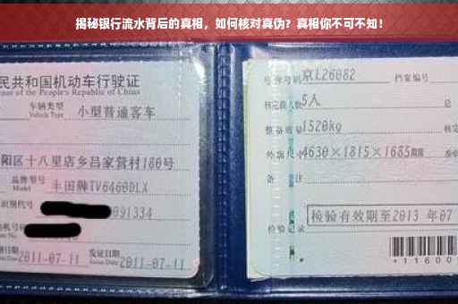 揭秘银行流水背后的真相，如何核对真伪？真相你不可不知！