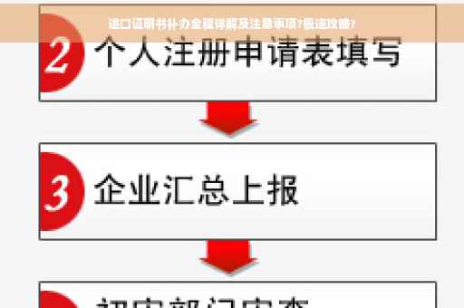 进口证明书补办全程详解及注意事项?极速攻略?
