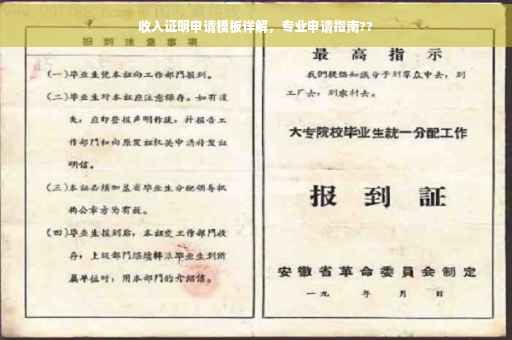收入证明申请模板详解，专业申请指南??