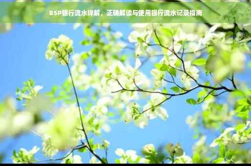 BSP银行流水详解，正确解读与使用银行流水记录指南