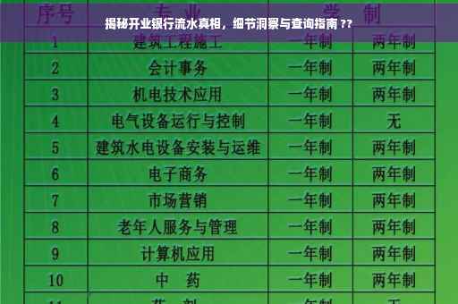 揭秘开业银行流水真相，细节洞察与查询指南 ??