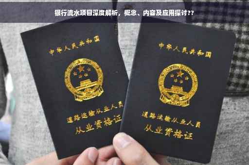 银行流水项目深度解析，概念、内容及应用探讨??