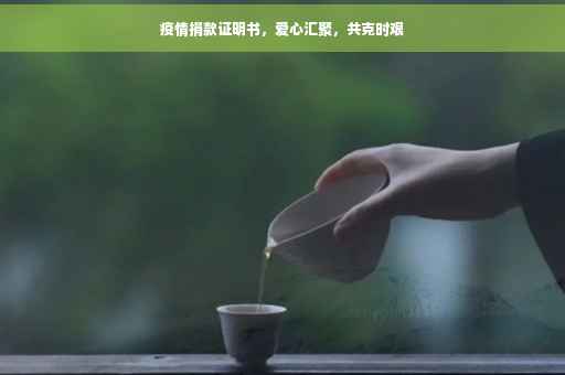 疫情捐款证明书，爱心汇聚，共克时艰