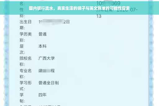 国内银行流水，真实生活的镜子与英文账单的可能性探索