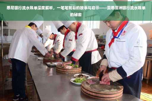 悉尼银行流水账单深度解析，一笔笔背后的故事与启示——洞悉澳洲银行流水账单的秘密