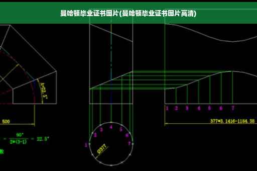 曼哈顿毕业证书图片(曼哈顿毕业证书图片高清)