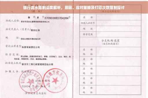银行流水限制深度解析，原因、应对策略及打印次数限制探讨