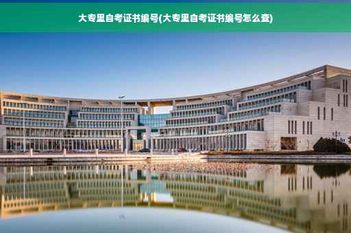 大专里自考证书编号(大专里自考证书编号怎么查)
