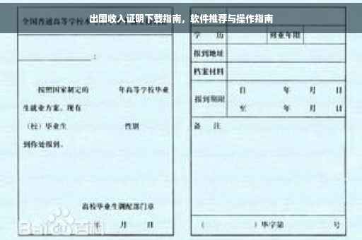 出国收入证明下载指南，软件推荐与操作指南