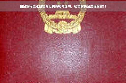 揭秘银行流水初审背后的真相与细节，初审时长及流程洞察??