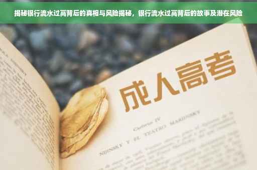 揭秘银行流水过高背后的真相与风险揭秘，银行流水过高背后的故事及潜在风险