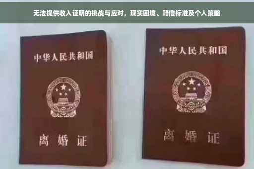 无法提供收入证明的挑战与应对，现实困境、赔偿标准及个人策略