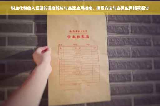 税单代替收入证明的深度解析与实际应用指南，撰写方法与实际应用场景探讨