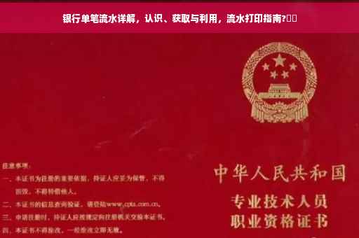 银行单笔流水详解，认识、获取与利用，流水打印指南?⚡️