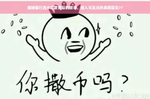 揭秘银行流水汇款背后的故事，收入与支出的真相探究??