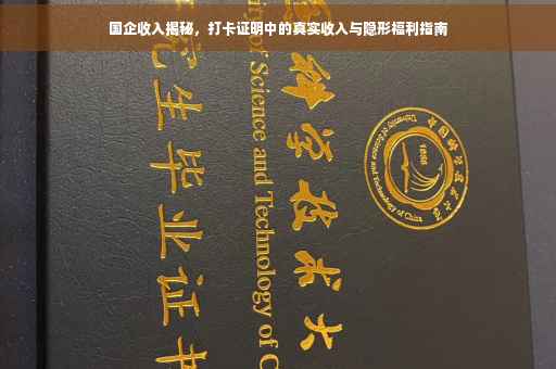 国企收入揭秘，打卡证明中的真实收入与隐形福利指南