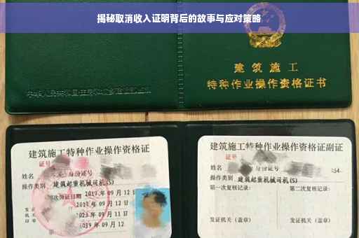 揭秘取消收入证明背后的故事与应对策略