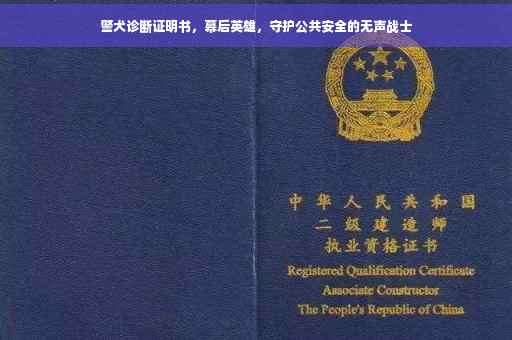 警犬诊断证明书，幕后英雄，守护公共安全的无声战士