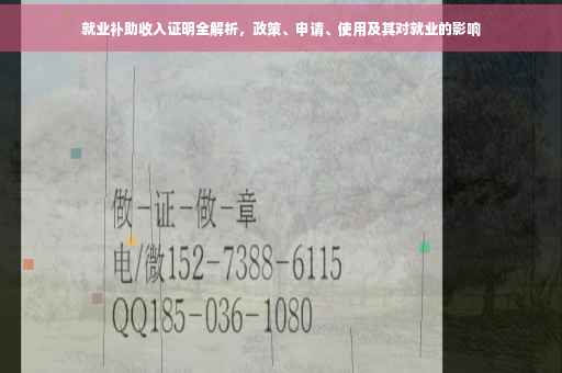 就业补助收入证明全解析，政策、申请、使用及其对就业的影响