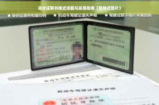 急诊证明书格式详解与实用指南（附格式图片）