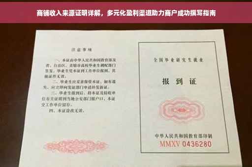 商铺收入来源证明详解，多元化盈利渠道助力商户成功撰写指南