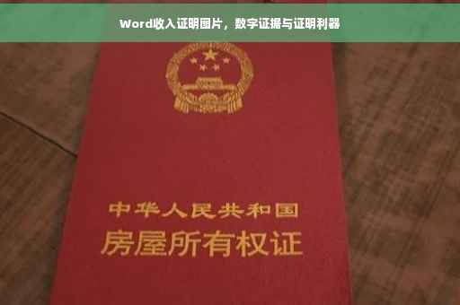 Word收入证明图片，数字证据与证明利器