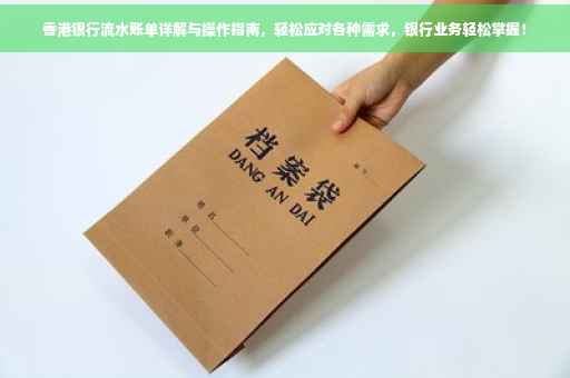 香港银行流水账单详解与操作指南，轻松应对各种需求，银行业务轻松掌握！