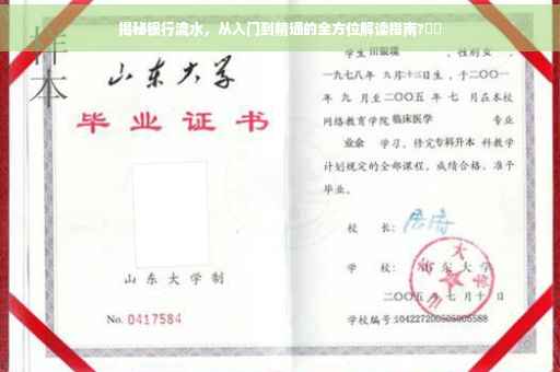 揭秘银行流水，从入门到精通的全方位解读指南?⚡️
