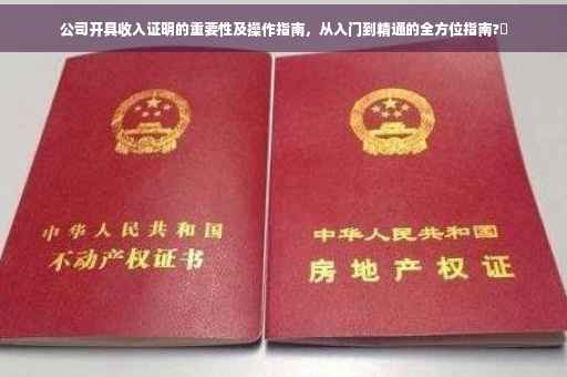 公司开具收入证明的重要性及操作指南，从入门到精通的全方位指南?✨