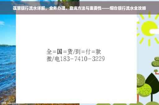 蓬莱银行流水详解，业务办理、查询方法与重要性——烟台银行流水全攻略
