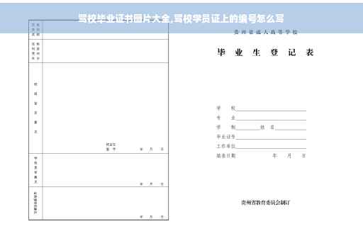 驾校毕业证书图片大全,驾校学员证上的编号怎么写