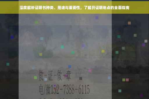 深度解析证明书种类、用途与重要性，了解开证明地点的全面指南