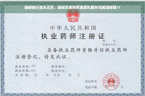 揭秘银行流水正负，金融交易的双重面孔解析与解读秘籍??