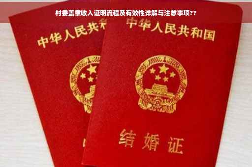 村委盖章收入证明流程及有效性详解与注意事项??