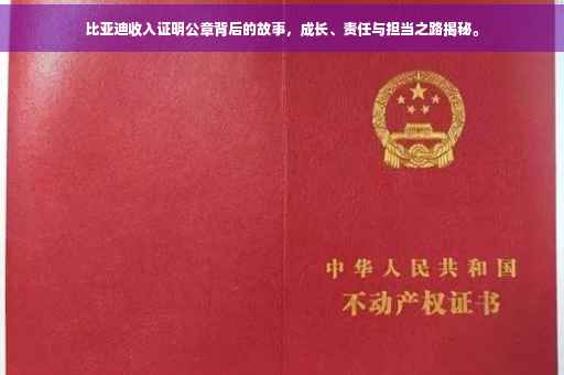 比亚迪收入证明公章背后的故事，成长、责任与担当之路揭秘。