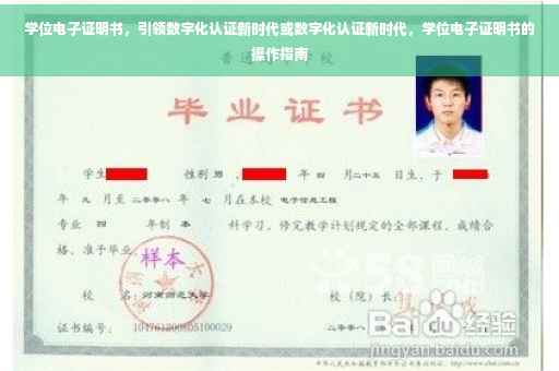 学位电子证明书，引领数字化认证新时代或数字化认证新时代，学位电子证明书的操作指南
