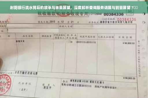 射阳银行流水背后的故事与未来展望，深度解析查询服务进展与前景展望 ?⚡️